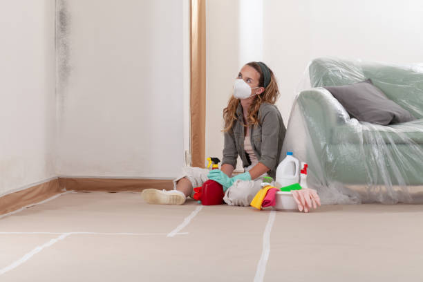 Reliable Commercial Mold Remediation contractor in Dundas, MN by WQB Mold Removal